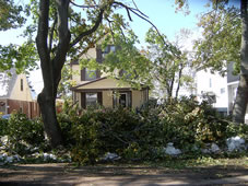 BonaResponds cleans up in Buffalo.