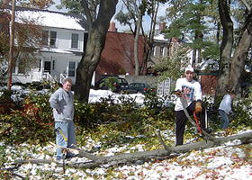 BonaResponds cleans up in Buffalo.