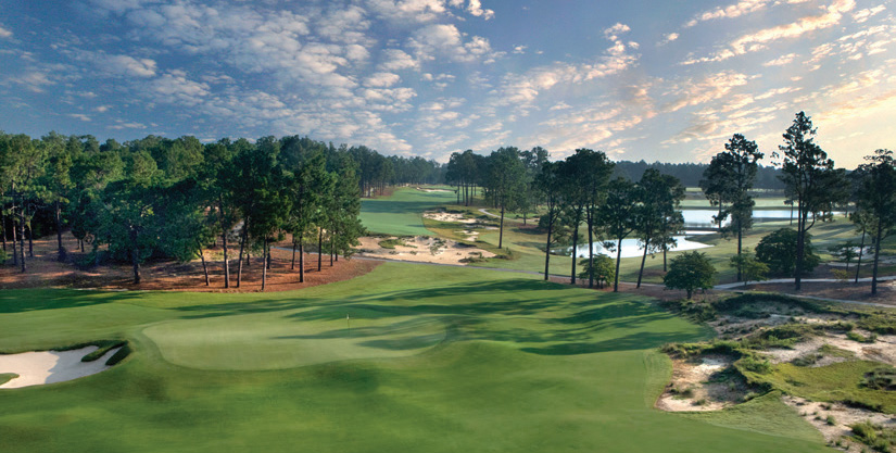 A view of the Pinehurst greens.
