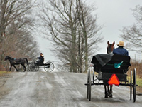 amish-trail