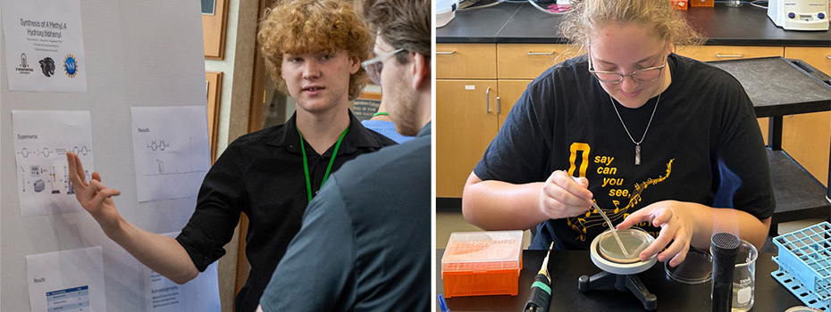 High school student researchers