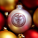 SBU Christmas ornament