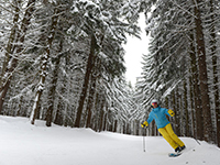 Holiday Valley skiing