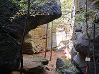 A trail at Rock City Park