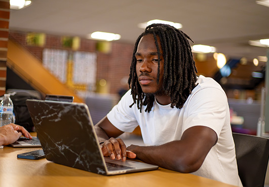 student and laptop Student working on laptop.
