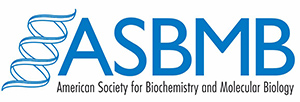 Logo for American Society for Biochemistry and Molecular Biology