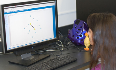 A student sits in front of a computer.