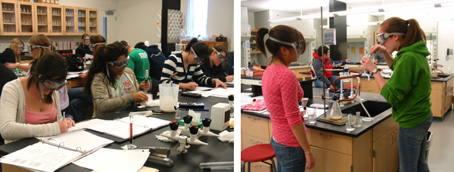 Chemistry students working on lab reports and experiments.