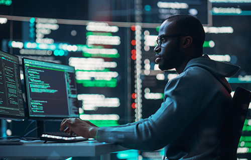 Person working in cyber security field