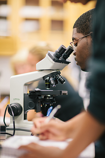 A student looks into a microscope