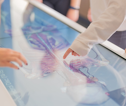 Students at the anatomage table