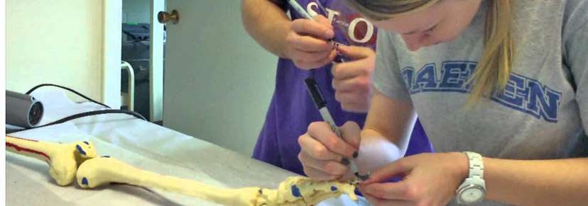 Two students in the Daemen College Physical Therapy Program