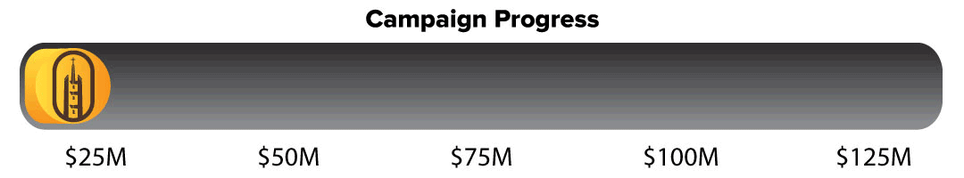 Campaign-Counter