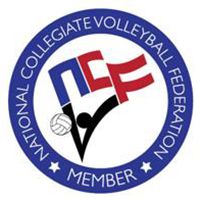 Volleyball league logo