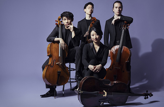 Members of the Galvin Cello Quartet
