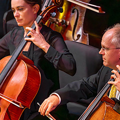 BPO musicians