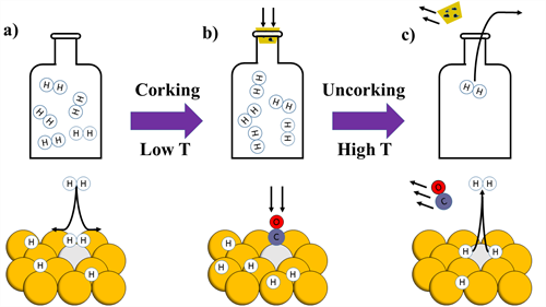 BottleSchematic BottleSchematic