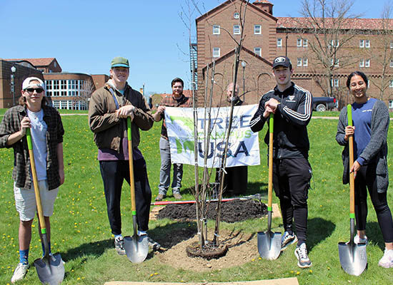Tree planting for WEB 2